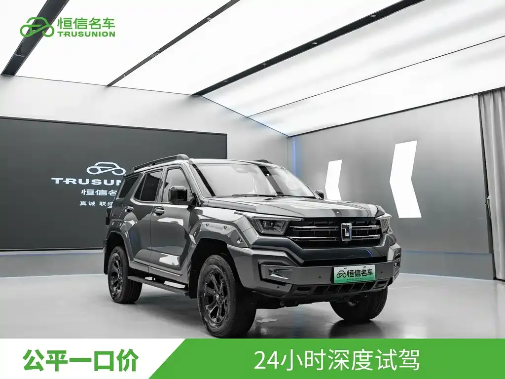 Tank 400 New Energy 2023 из CN, фото 5