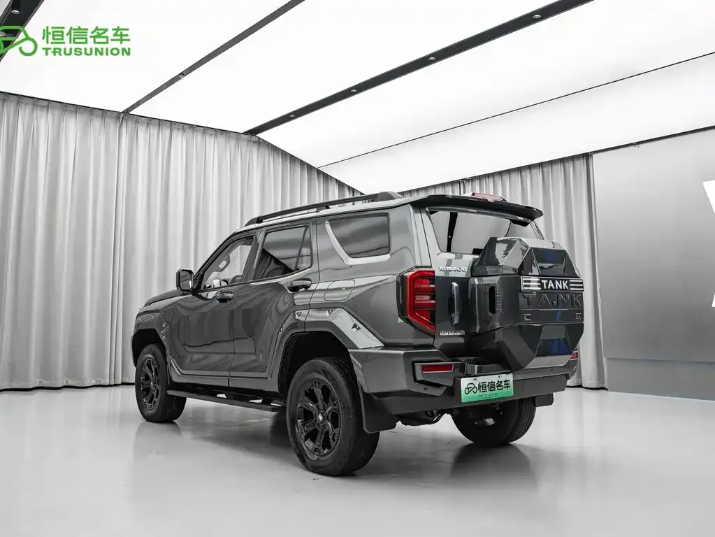 Tank 400 New Energy 2023 из CN, фото 10