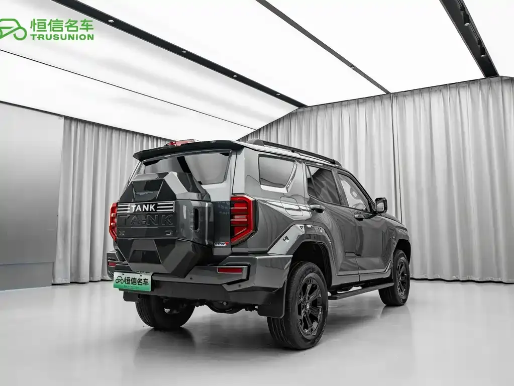 Tank 400 New Energy 2023 из CN, фото 9