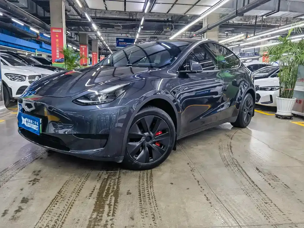 Tesla Model Y — фото 1