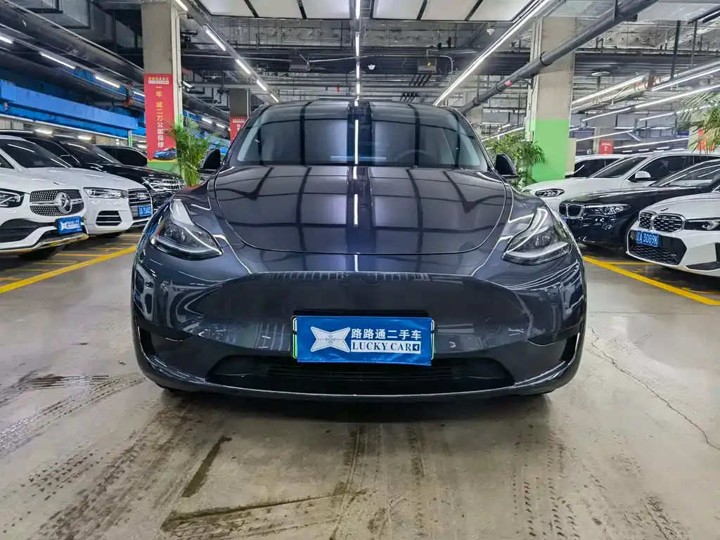 Tesla Model Y — фото 3