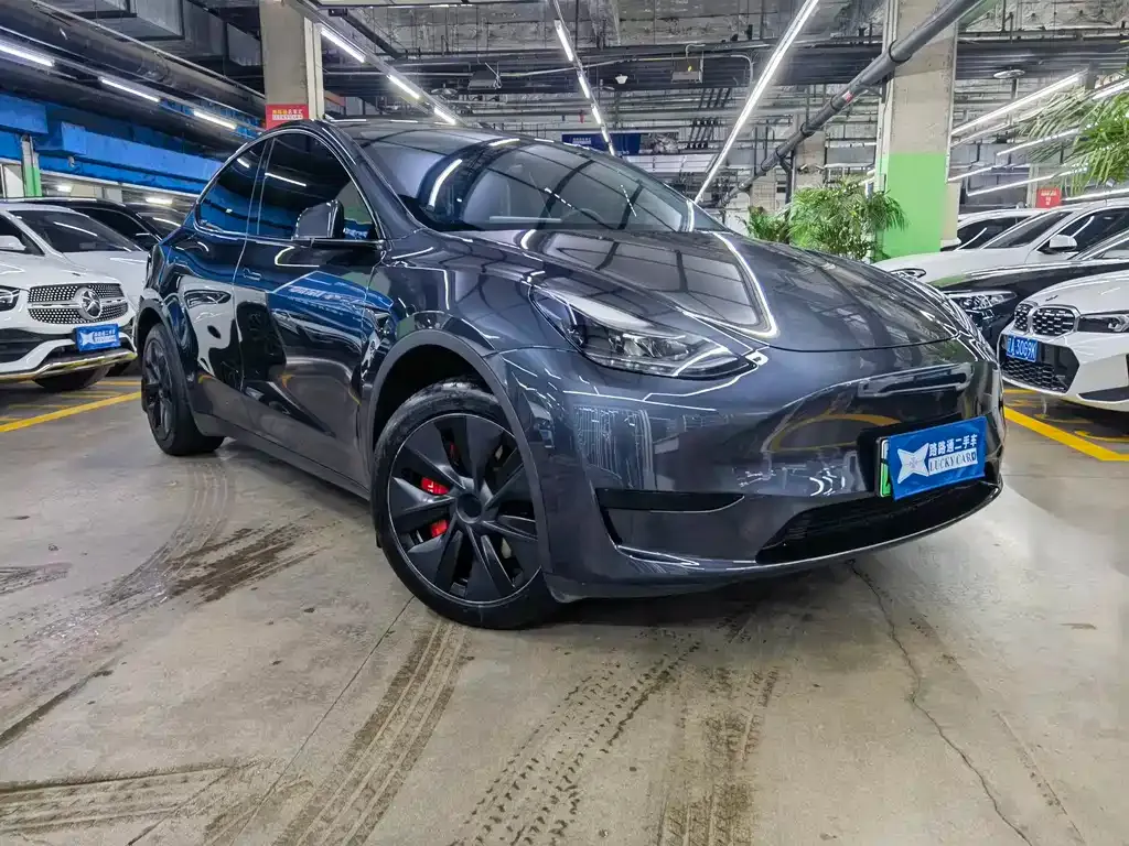 Tesla Model Y — фото 6