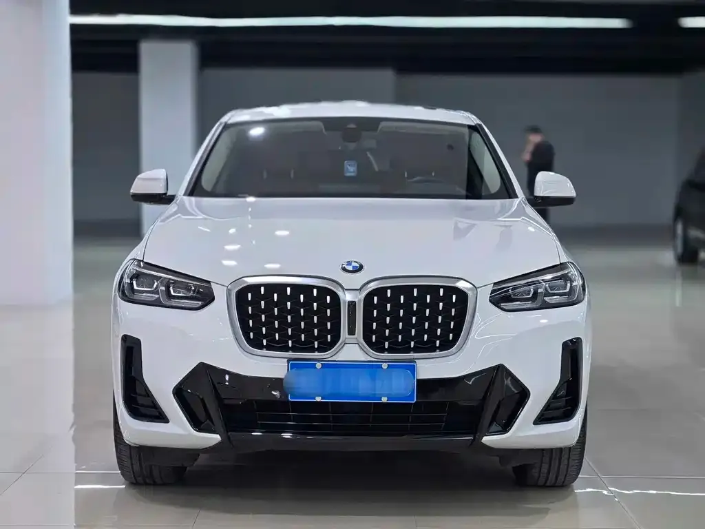 BMW X4 2022 из CN, фото 2
