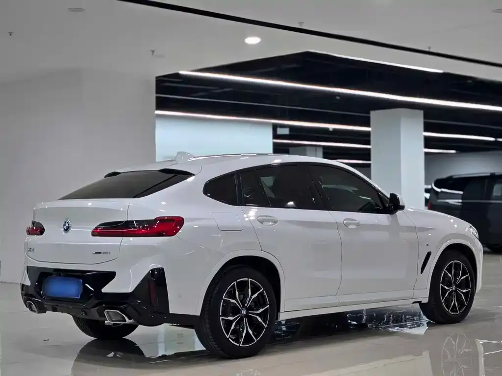 BMW X4 2022 из CN, фото 3