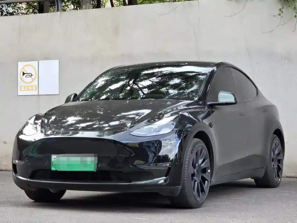 Tesla Model Y — фото 1