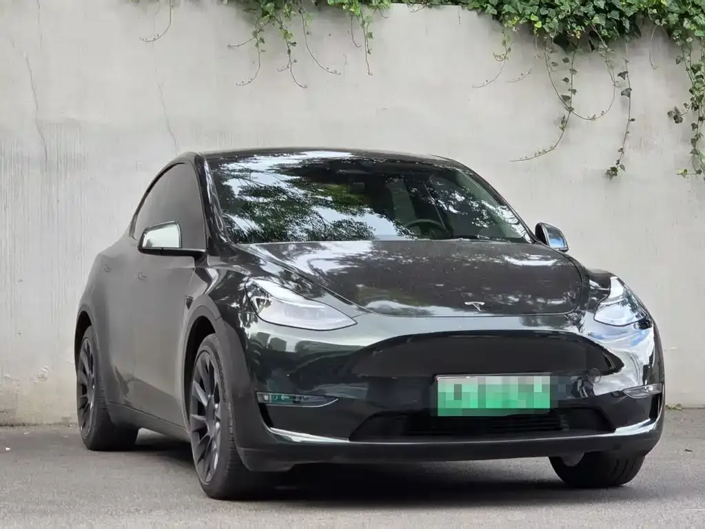 Tesla Model Y — фото 6