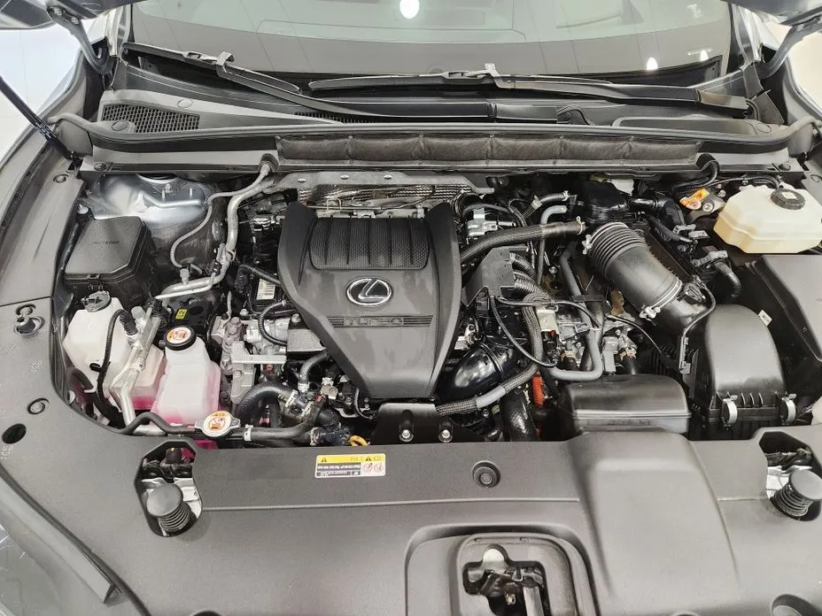 Lexus RX 2024 из KR, фото 7