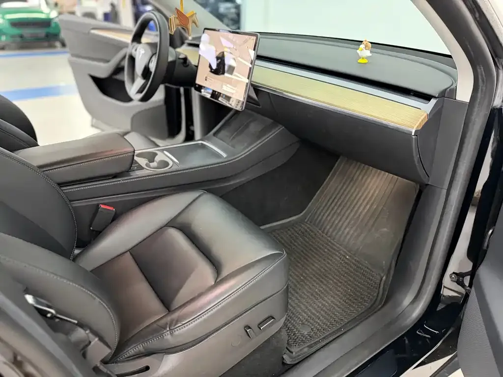 Tesla Model Y — фото 9