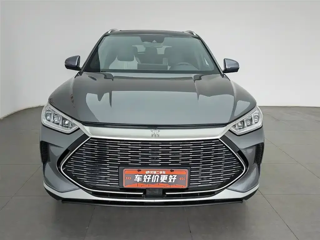 BYD PLUS New Energy 2023 из CN, фото 2