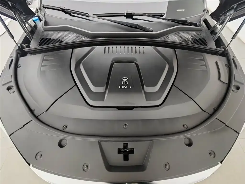 BYD PLUS New Energy 2023 из CN, фото 8