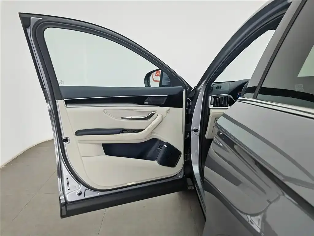 BYD PLUS New Energy 2023 из CN, фото 4