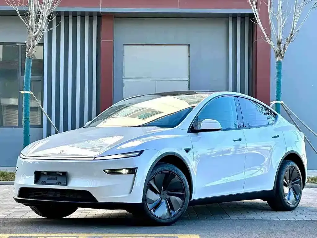 Tesla Model Y — фото 2