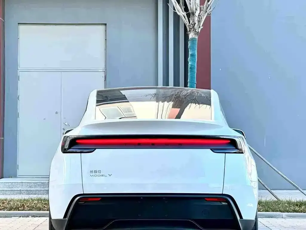 Tesla Model Y — фото 9