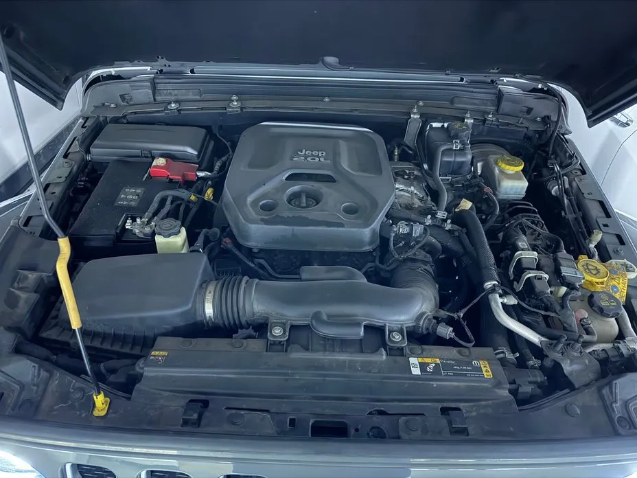 Jeep Wrangler 2021 из KR, фото 7