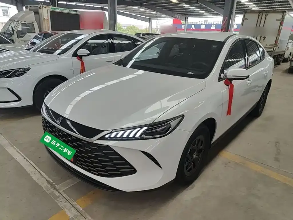 BYD Qin PLUS — фото 6