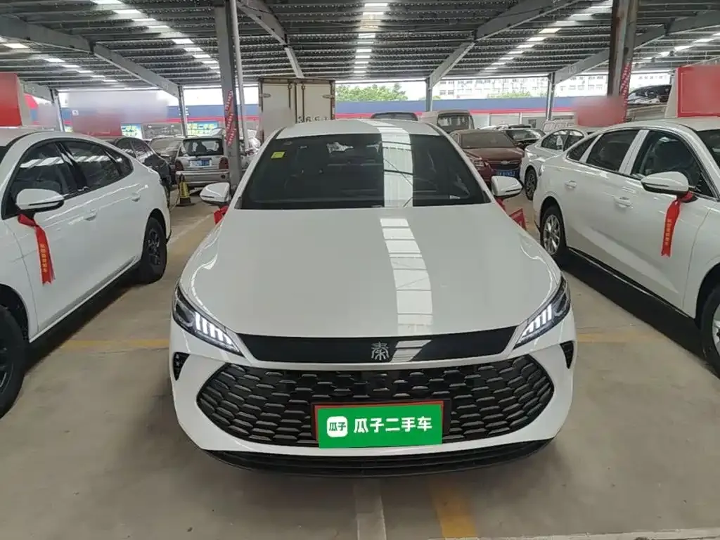 BYD Qin PLUS — фото 9
