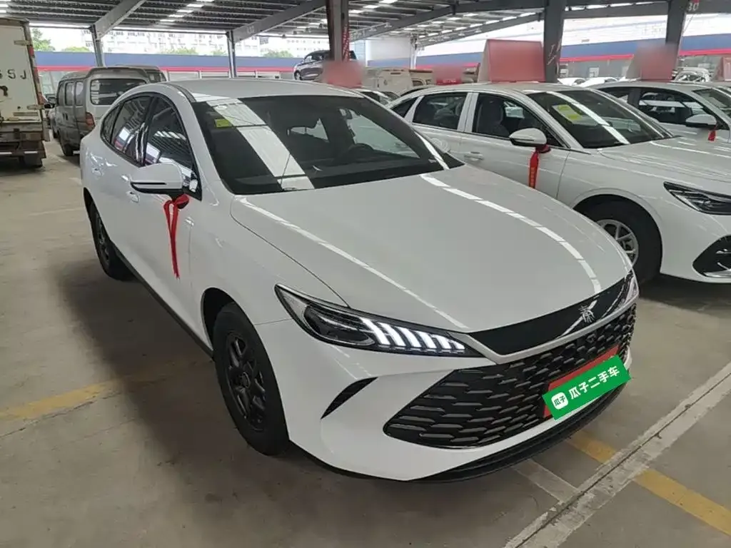 BYD Qin PLUS — фото 8