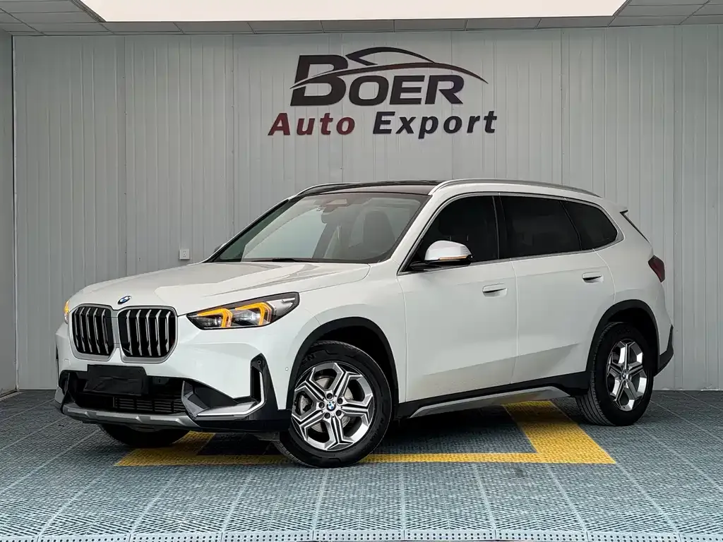 BMW X1 — фото 1