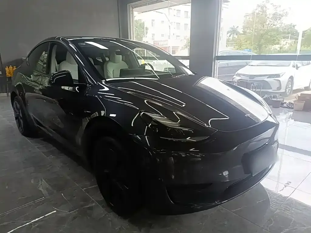 Tesla Model Y — фото 9