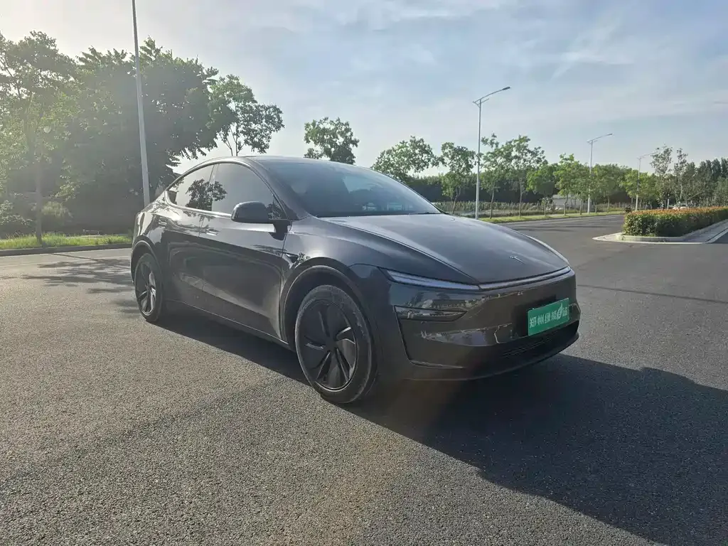 Tesla Model Y — фото 9