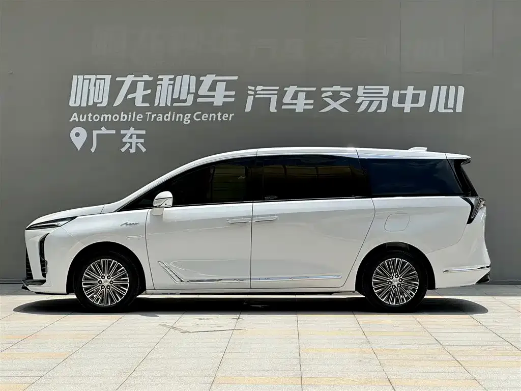 Buick GL8 Hybrid — фото 9