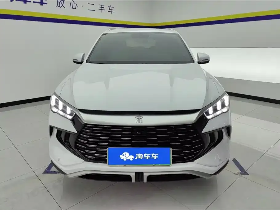 BYD Pro New Energy 2024 из CN, фото 8