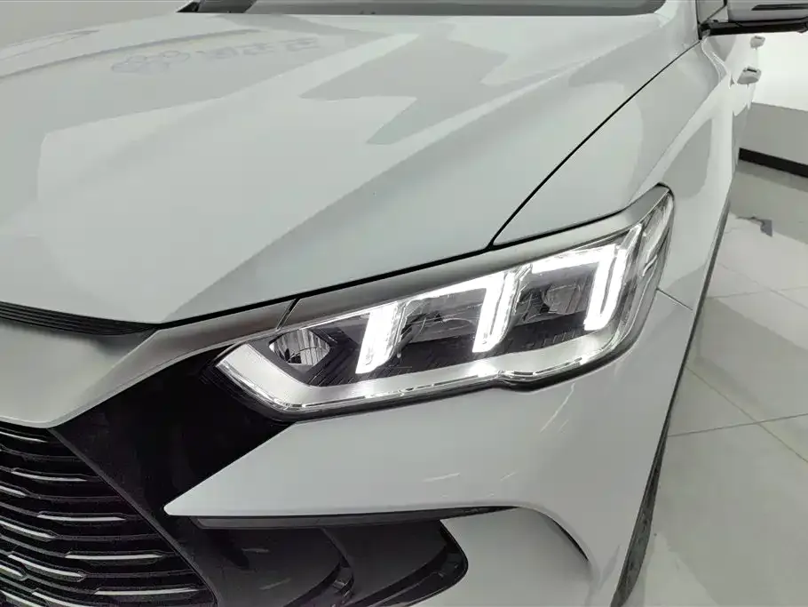BYD Pro New Energy 2024 из CN, фото 9