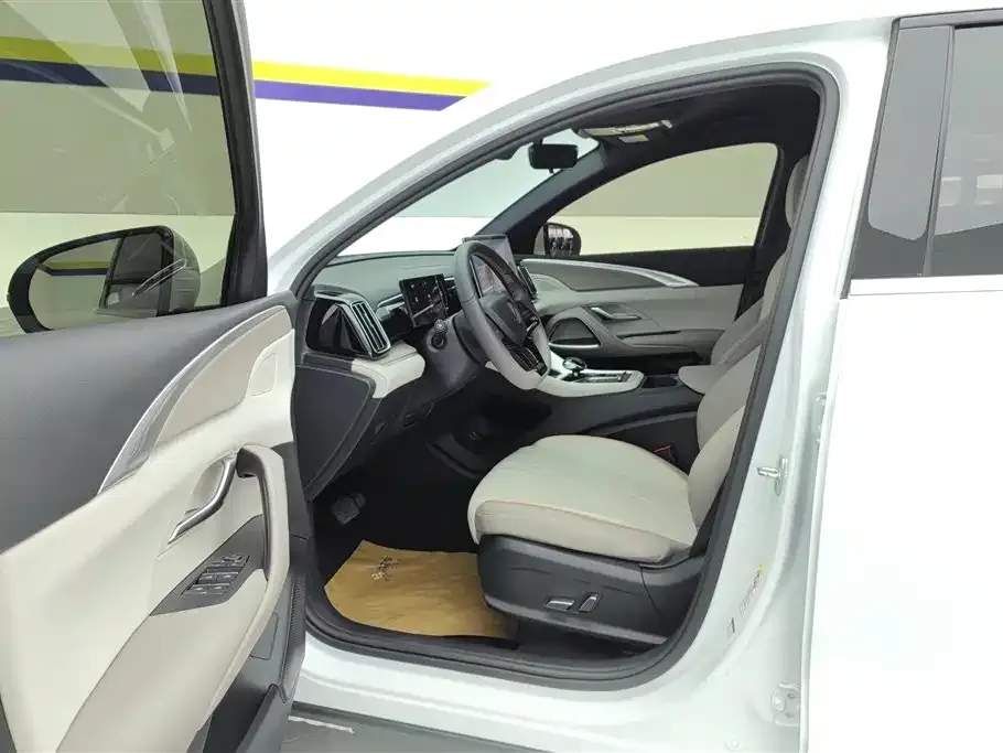 BYD Pro New Energy 2024 из CN, фото 3