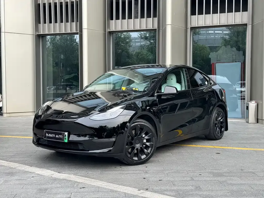 Tesla Model Y — фото 1