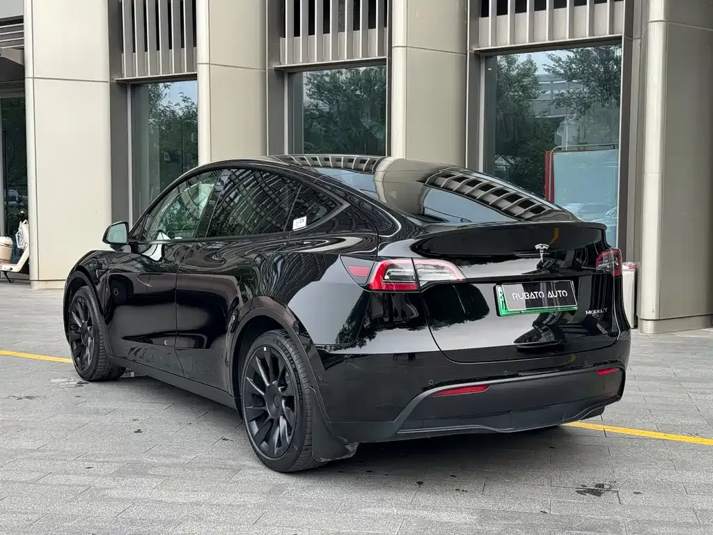 Tesla Model Y — фото 10