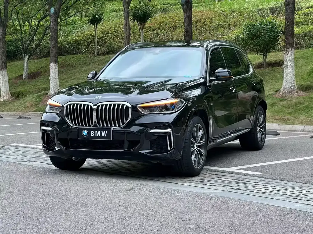 BMW X5 — фото 1