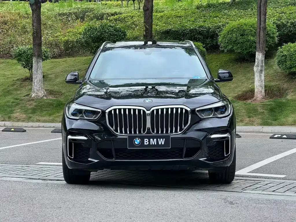 BMW X5 — фото 8