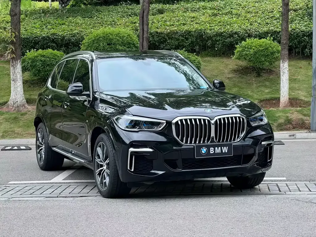 BMW X5 — фото 9