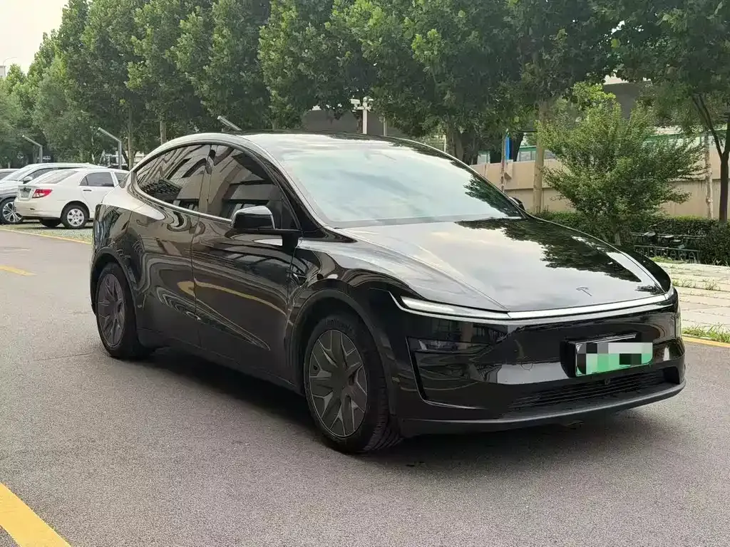 Tesla Model Y L 2025 из CN, фото 6