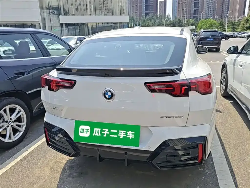 BMW X2 (Import) — фото 10