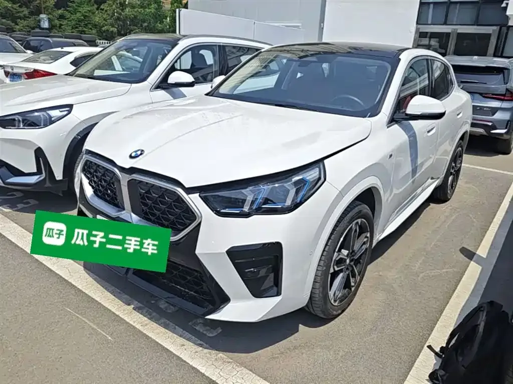 BMW X2 (Import) — фото 7