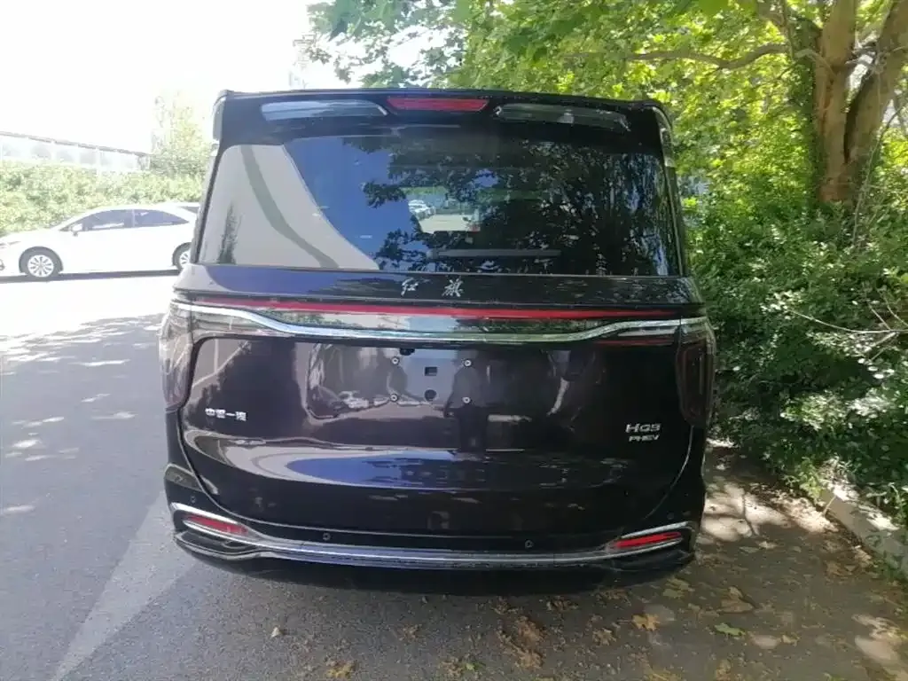 Hongqi HQ9 PHEV 2024 из CN, фото 9
