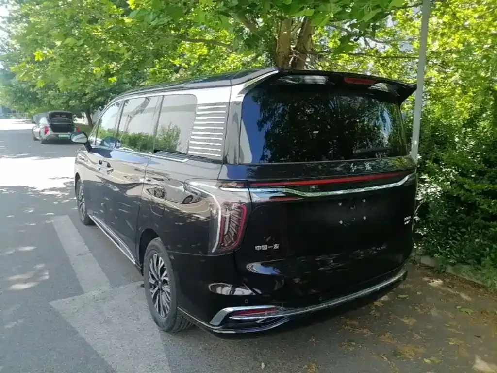 Hongqi HQ9 PHEV 2024 из CN, фото 10