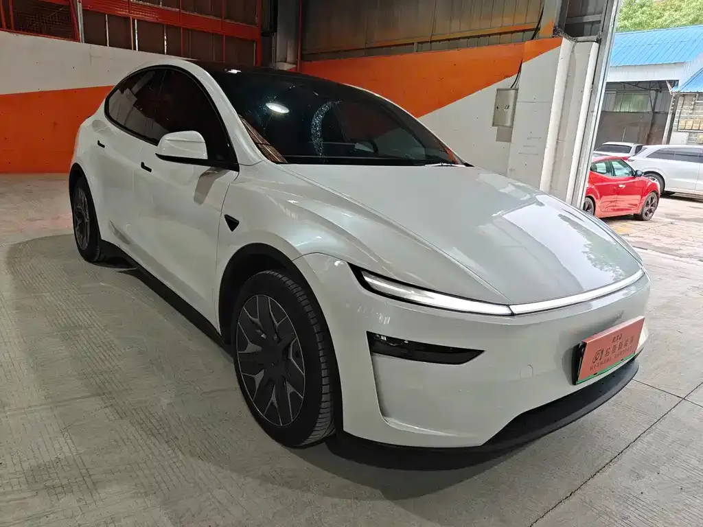 Tesla Model Y L 2025 из CN, фото 9