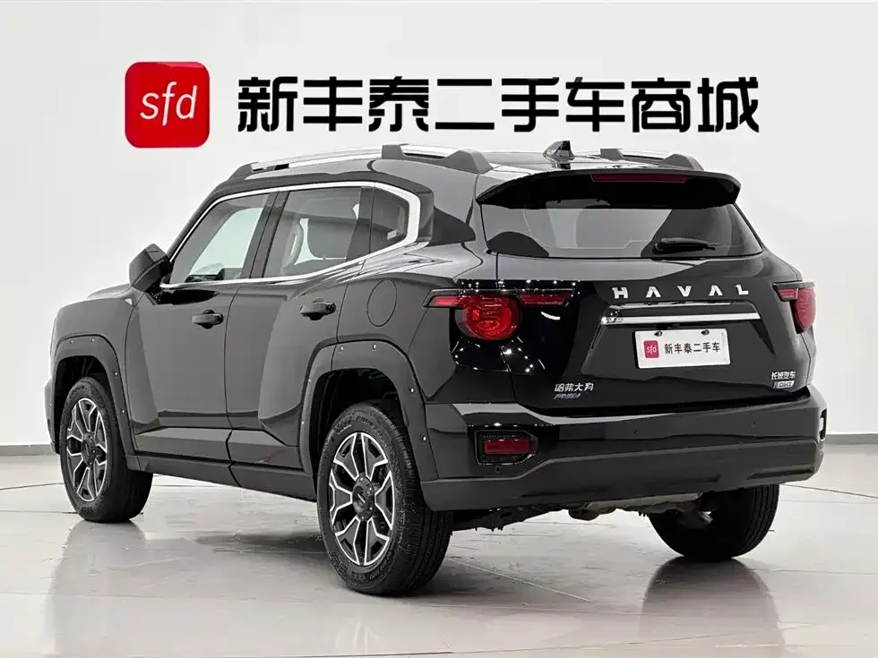 Haval H7 (Big Dog Plus) New Energy 2023 из CN, фото 8