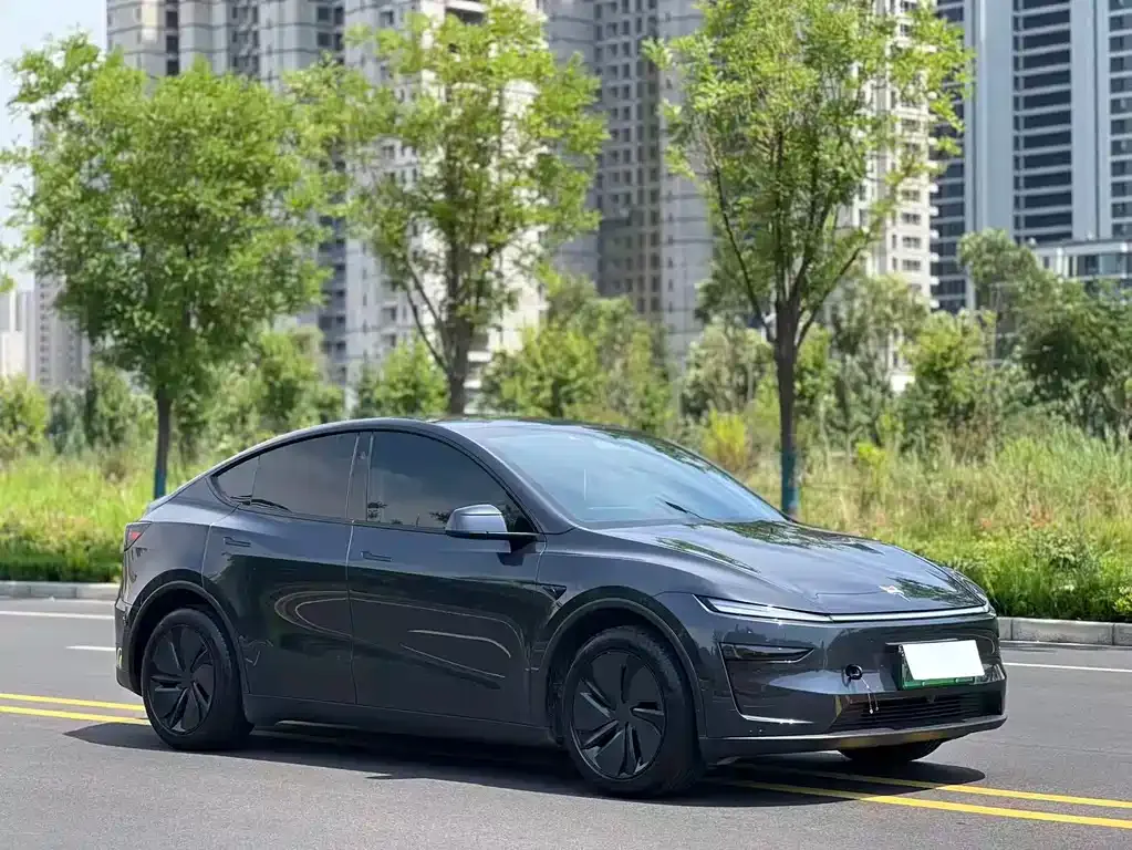 Tesla Model Y — фото 6