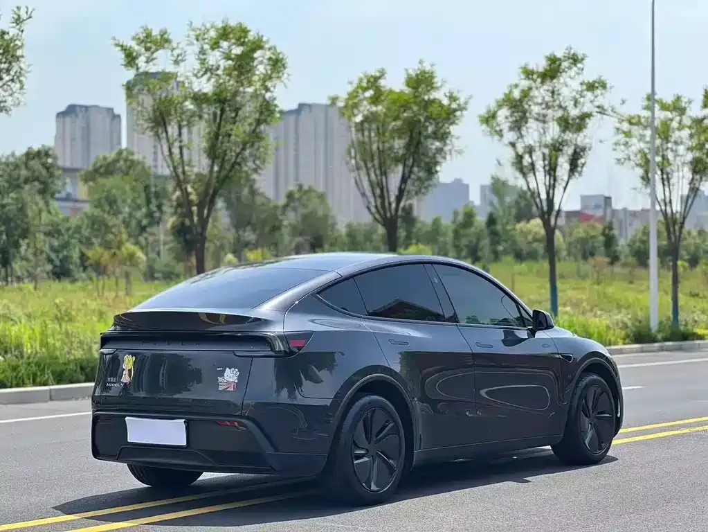 Tesla Model Y — фото 8