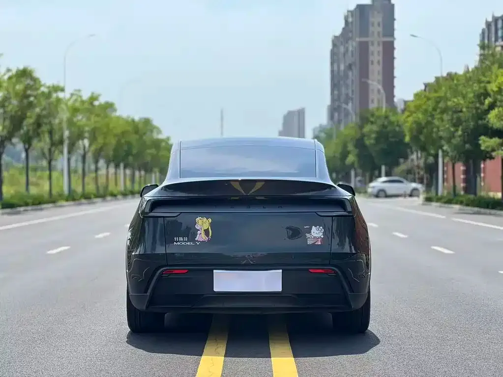 Tesla Model Y — фото 7