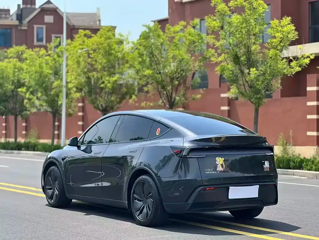 Tesla Model Y — фото 9