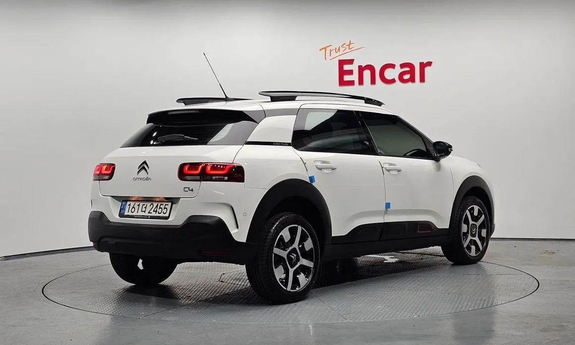 Citroen (DS) C4 CACTUS — фото 3