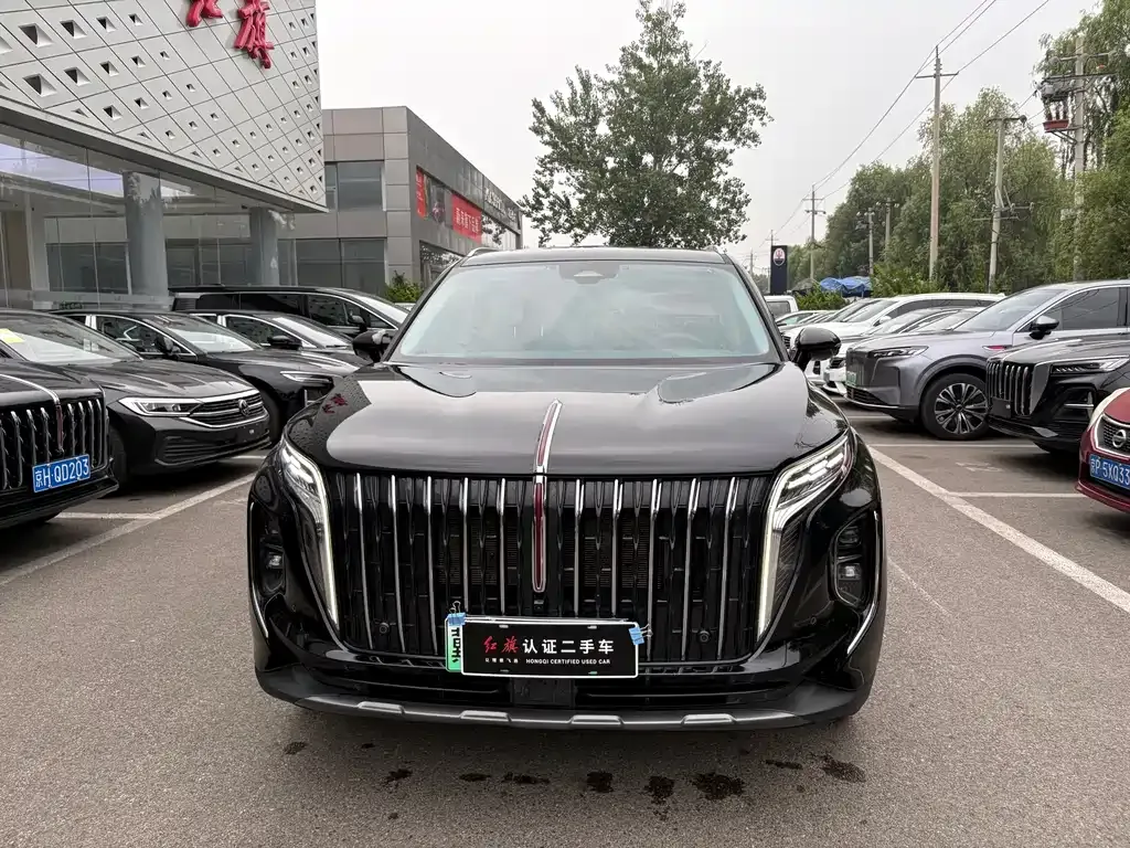 Hongqi HS7 PHEV — фото 9