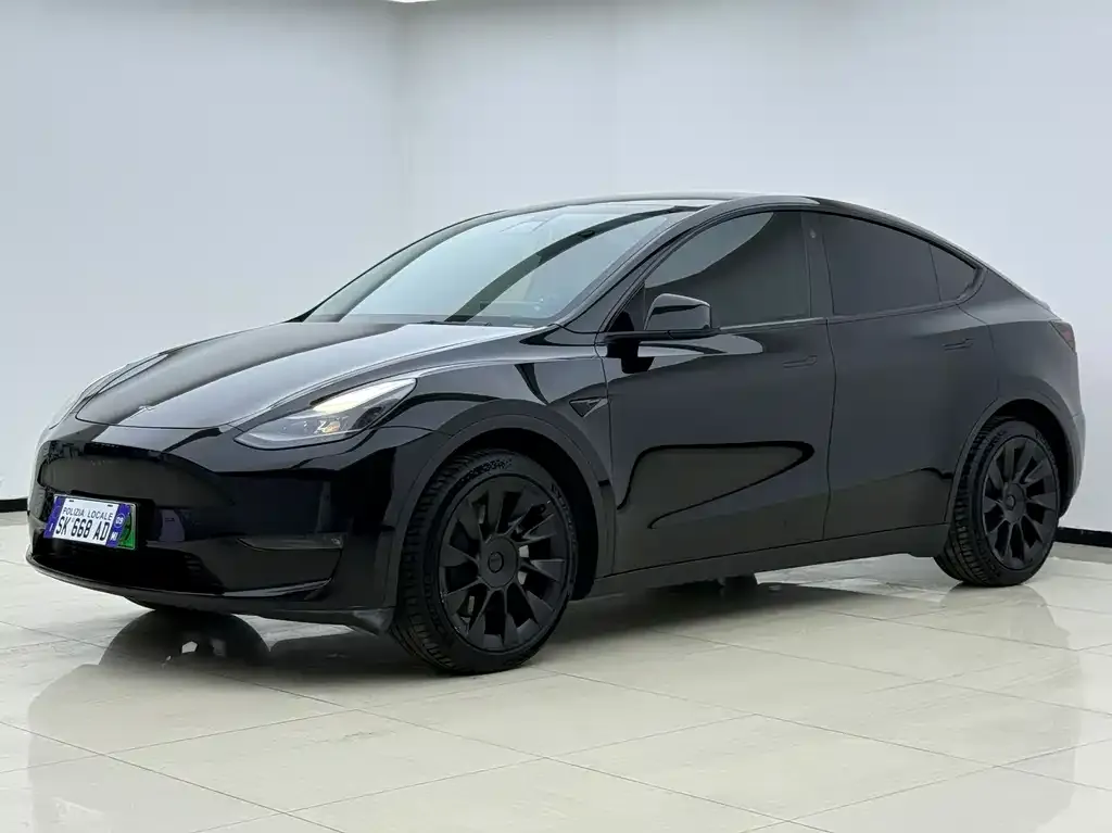 Tesla Model Y — фото 1