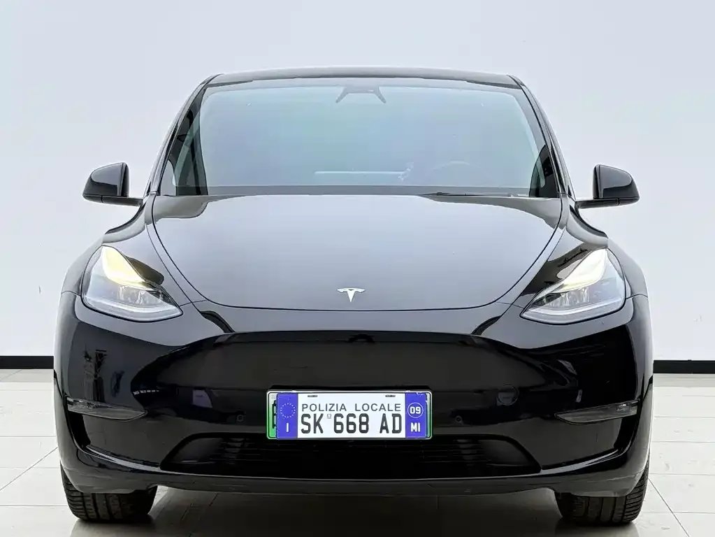 Tesla Model Y — фото 2