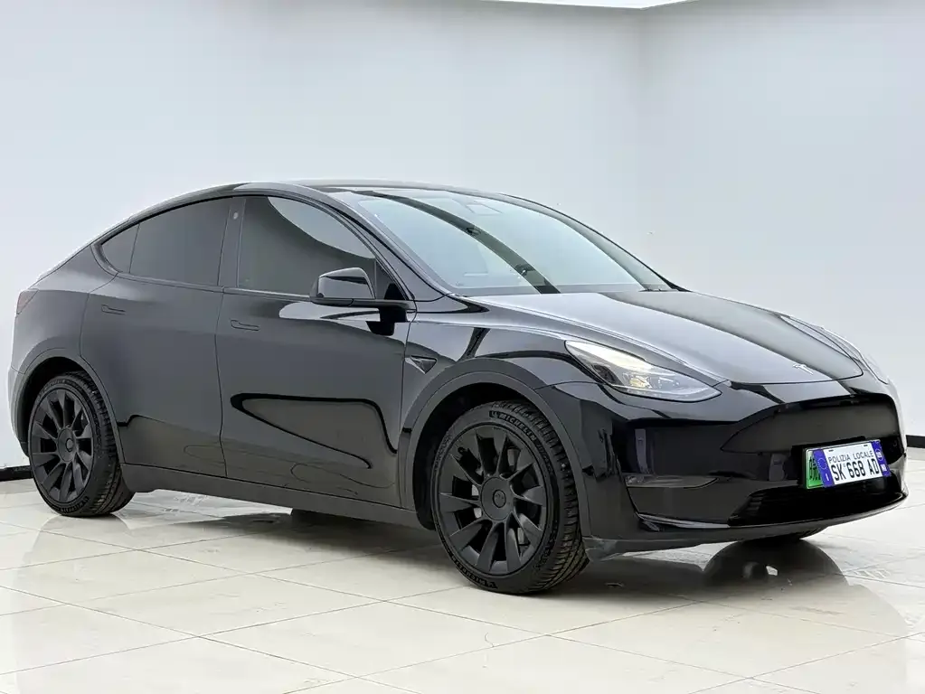 Tesla Model Y — фото 10
