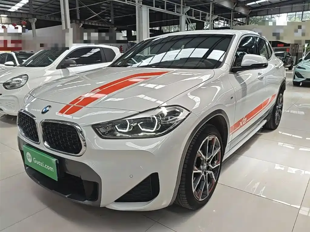 BMW X2 2022 из CN, фото 6